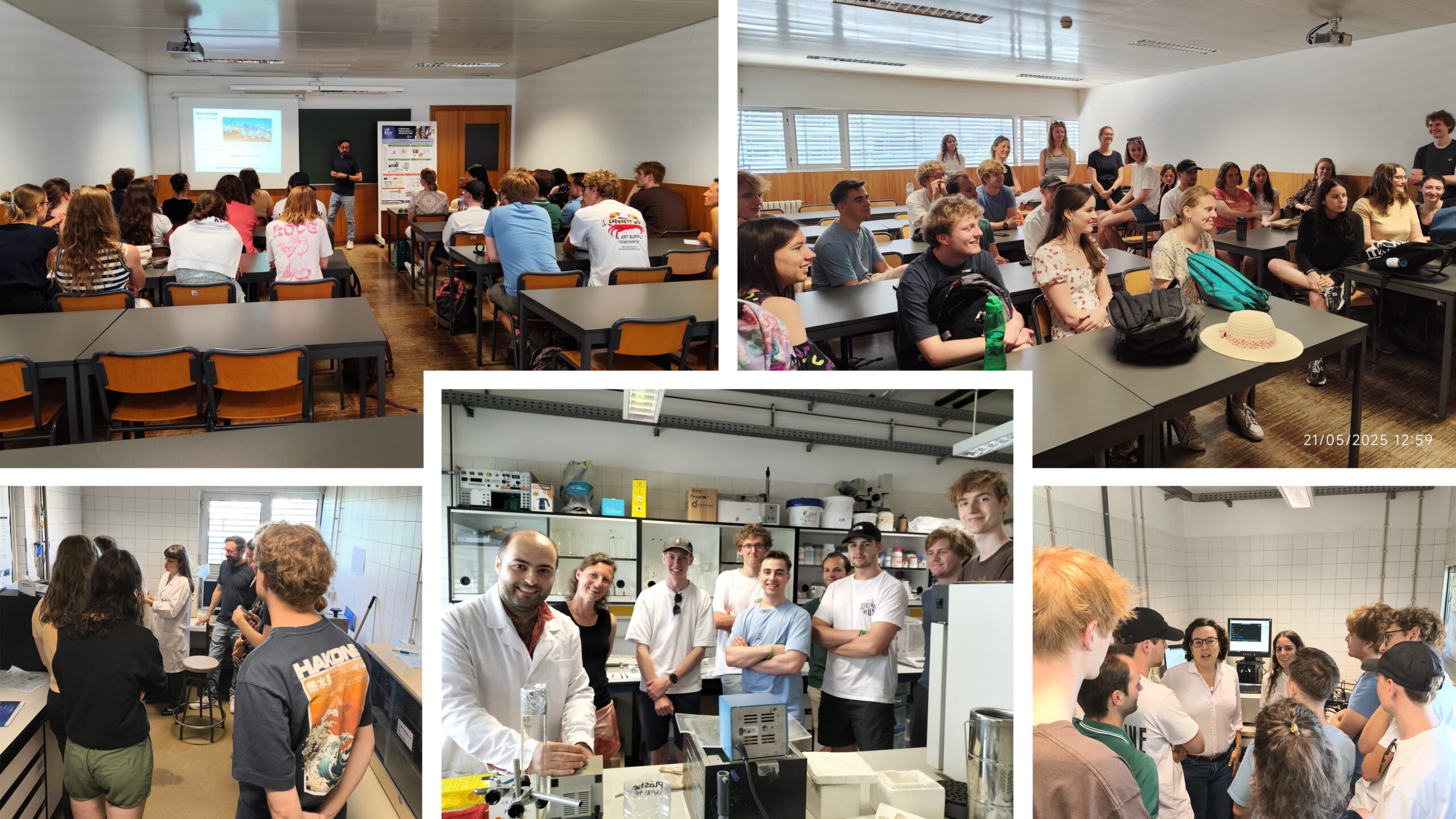 Visit from Vives University to the Bio(Organic) Chemistry & Biochemistry group at CQE@Ciências