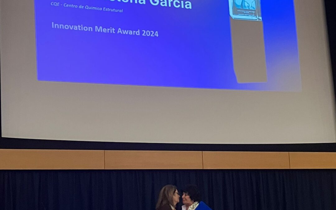 Innovation Merit Award 2024