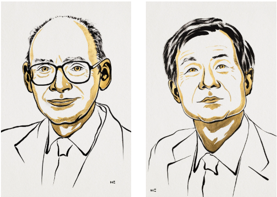 CQE researchers comment on the 2026 Nobel Prize in Chemistry